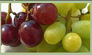 Grapes